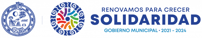 Logo Solidaridad -768x147